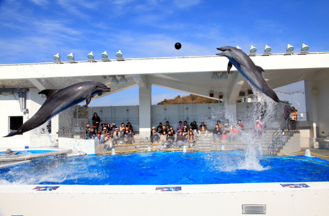 九十九島水族館海きらら